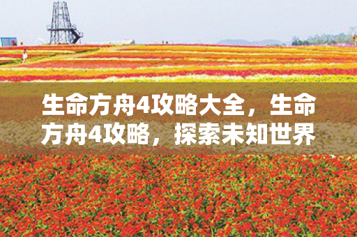 生命方舟4攻略大全,生命方舟4攻略,探索未知世界的全面指南 生命方舟4攻略大全,生命方舟4攻略,探索未知世界的全面指南