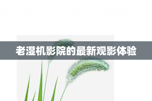 老湿机影院的最新观影体验 老湿机影院的最新观影体验
