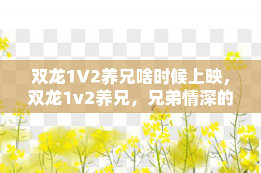 双龙1V2养兄啥时候上映,双龙1v2养兄,兄弟情深的奇幻之旅 双龙1V2养兄啥时候上映,双龙1v2养兄,兄弟情深的奇幻之旅
