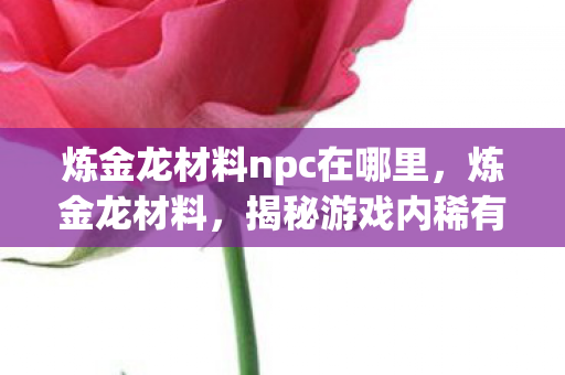 炼金龙材料npc在哪里,炼金龙材料,揭秘游戏内稀有资源的珍贵价值 炼金龙材料npc在哪里,炼金龙材料,揭秘游戏内稀有资源的珍贵价值