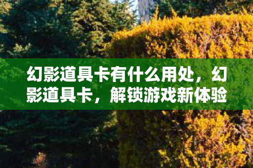 幻影道具卡有什么用处,幻影道具卡,解锁游戏新体验的神器 幻影道具卡有什么用处,幻影道具卡,解锁游戏新体验的神器