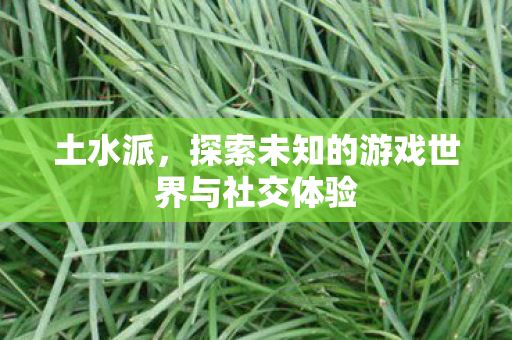 土水派,探索未知的游戏世界与社交体验 土水派,探索未知的游戏世界与社交体验