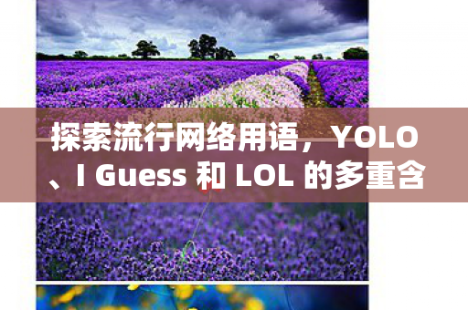探索流行网络用语，YOLO、I Guess 和 LOL 的多重含义