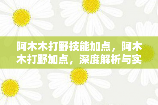 阿木木打野技能加点,阿木木打野加点,深度解析与实战应用 阿木木打野技能加点,阿木木打野加点,深度解析与实战应用