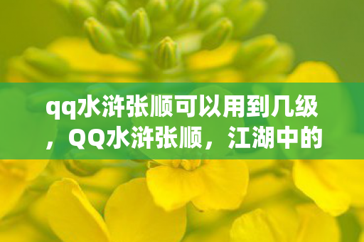 qq水浒张顺可以用到几级,QQ水浒张顺,江湖中的传奇英雄 qq水浒张顺可以用到几级,QQ水浒张顺,江湖中的传奇英雄