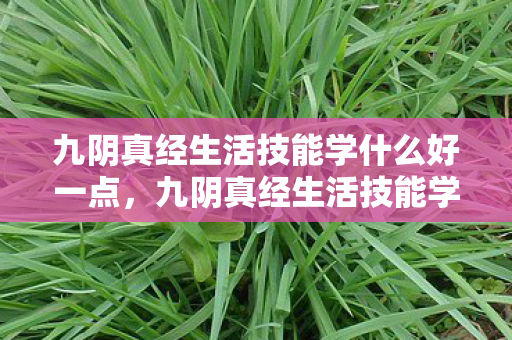 九阴真经生活技能学什么好一点,九阴真经生活技能学什么好 九阴真经生活技能学什么好一点,九阴真经生活技能学什么好