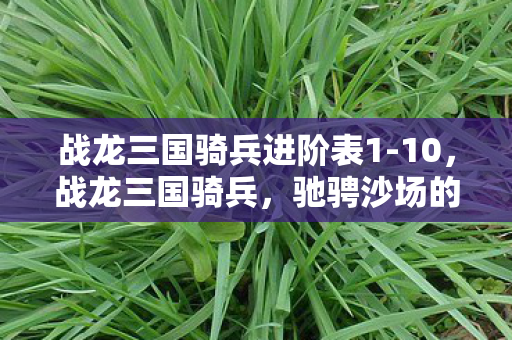战龙三国骑兵进阶表1-10,战龙三国骑兵,驰骋沙场的铁血勇士 战龙三国骑兵进阶表1-10,战龙三国骑兵,驰骋沙场的铁血勇士