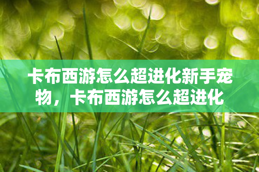 卡布西游怎么超进化新手宠物,卡布西游怎么超进化 卡布西游怎么超进化新手宠物,卡布西游怎么超进化