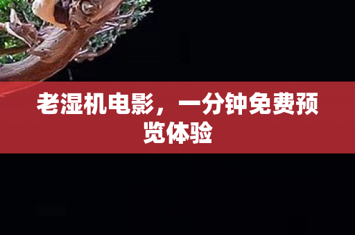 老湿机电影,一分钟免费预览体验 老湿机电影,一分钟免费预览体验