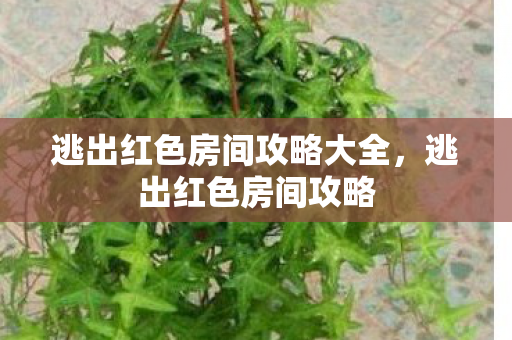 逃出红色房间攻略大全,逃出红色房间攻略 逃出红色房间攻略大全,逃出红色房间攻略