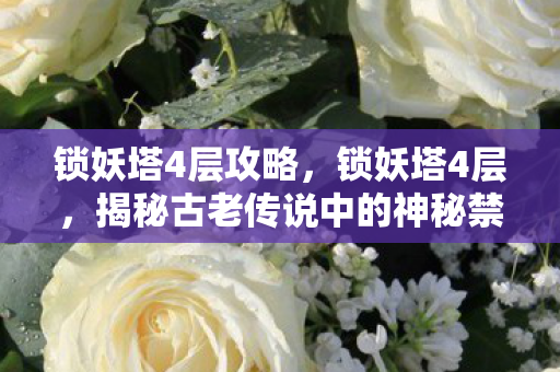 锁妖塔4层攻略,锁妖塔4层,揭秘古老传说中的神秘禁地 锁妖塔4层攻略,锁妖塔4层,揭秘古老传说中的神秘禁地