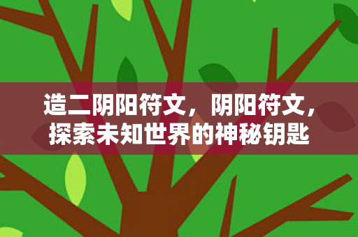 造二阴阳符文，阴阳符文，探索未知世界的神秘钥匙