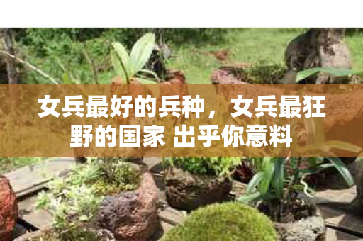 女兵最好的兵种,女兵最狂野的国家 出乎你意料 女兵最好的兵种,女兵最狂野的国家 出乎你意料