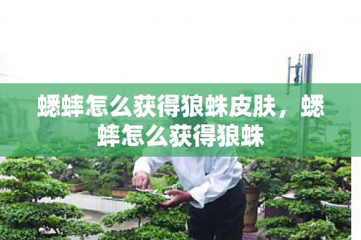 蟋蟀怎么获得狼蛛皮肤,蟋蟀怎么获得狼蛛 蟋蟀怎么获得狼蛛皮肤,蟋蟀怎么获得狼蛛