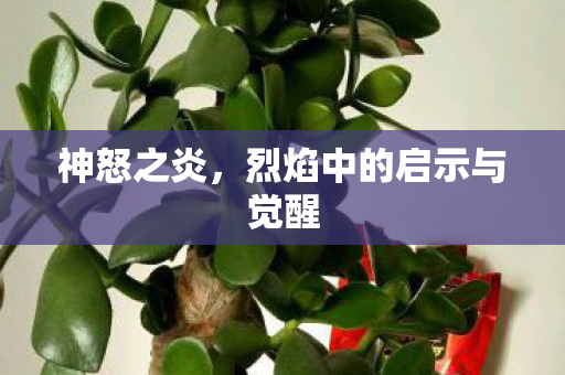 神怒之炎,烈焰中的启示与觉醒 神怒之炎,烈焰中的启示与觉醒