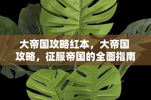 大帝国攻略红本,大帝国 攻略,征服帝国的全面指南 大帝国攻略红本,大帝国 攻略,征服帝国的全面指南