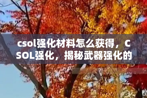 csol强化材料怎么获得,CSOL强化,揭秘武器强化的奥秘与技巧 csol强化材料怎么获得,CSOL强化,揭秘武器强化的奥秘与技巧