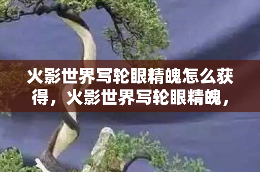 火影世界写轮眼精魄怎么获得，火影世界写轮眼精魄，探索忍术世界的奥秘