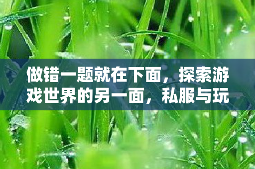 做错一题就在下面,探索游戏世界的另一面,私服与玩家的灰色地带 做错一题就在下面,探索游戏世界的另一面,私服与玩家的灰色地带