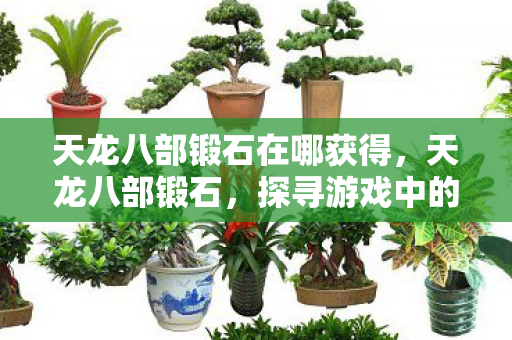 天龙八部锻石在哪获得,天龙八部锻石,探寻游戏中的神秘宝石 天龙八部锻石在哪获得,天龙八部锻石,探寻游戏中的神秘宝石
