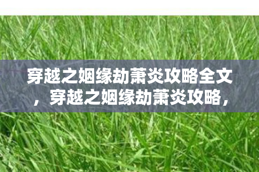 穿越之姻缘劫萧炎攻略全文，穿越之姻缘劫萧炎攻略，打造完美姻缘，攻略萧炎全解析