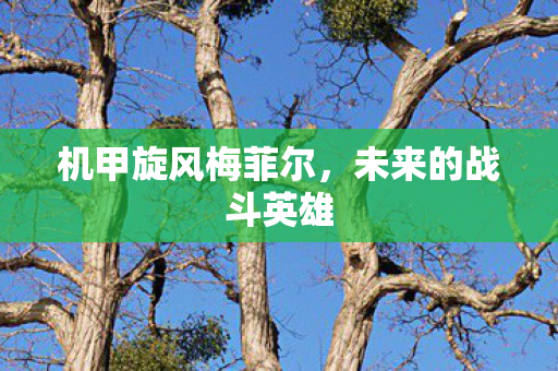 机甲旋风梅菲尔,未来的战斗英雄 机甲旋风梅菲尔,未来的战斗英雄
