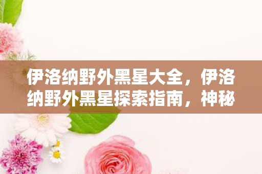 伊洛纳野外黑星大全，伊洛纳野外黑星探索指南，神秘星体的奥秘与奇遇