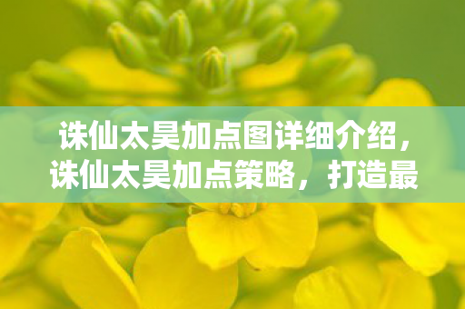 诛仙太昊加点图详细介绍,诛仙太昊加点策略,打造最强角色 诛仙太昊加点图详细介绍,诛仙太昊加点策略,打造最强角色