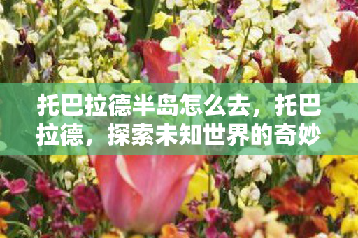 托巴拉德半岛怎么去,托巴拉德,探索未知世界的奇妙之旅 托巴拉德半岛怎么去,托巴拉德,探索未知世界的奇妙之旅