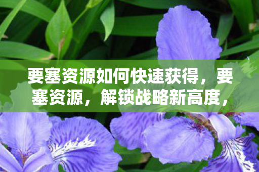 要塞资源如何快速获得,要塞资源,解锁战略新高度,打造游戏新体验 要塞资源如何快速获得,要塞资源,解锁战略新高度,打造游戏新体验