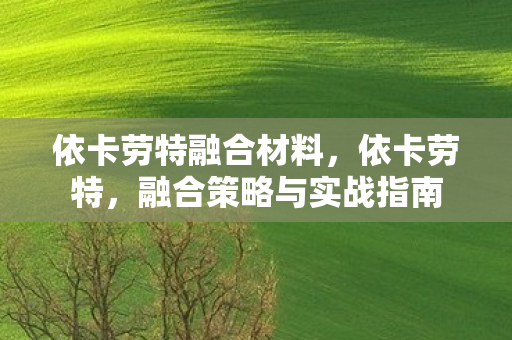 依卡劳特融合材料，依卡劳特，融合策略与实战指南