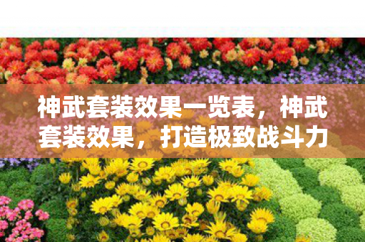 神武套装效果一览表,神武套装效果,打造极致战斗力的秘密武器 神武套装效果一览表,神武套装效果,打造极致战斗力的秘密武器