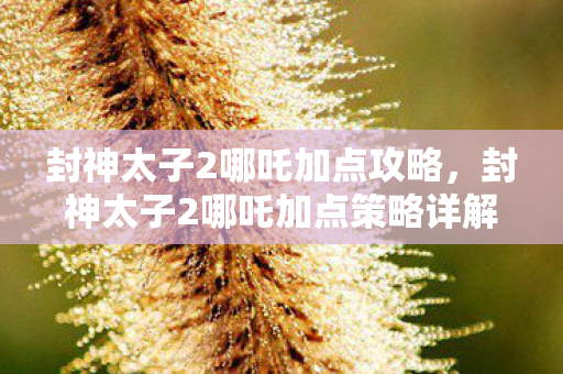 封神太子2哪吒加点攻略,封神太子2哪吒加点策略详解 封神太子2哪吒加点攻略,封神太子2哪吒加点策略详解