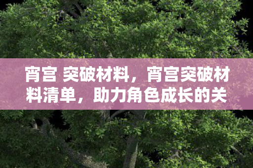 宵宫 突破材料，宵宫突破材料清单，助力角色成长的关键