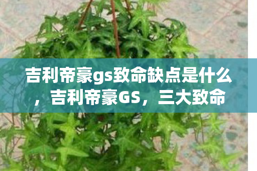 吉利帝豪gs致命缺点是什么,吉利帝豪GS,三大致命缺点曝光 吉利帝豪gs致命缺点是什么,吉利帝豪GS,三大致命缺点曝光