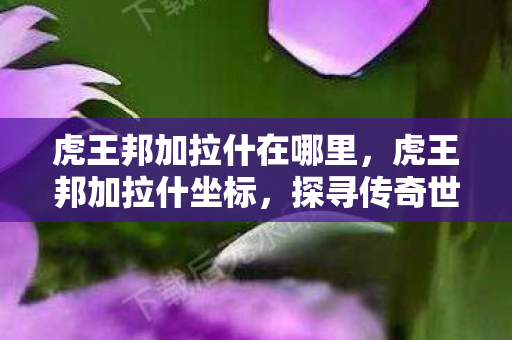 虎王邦加拉什在哪里,虎王邦加拉什坐标,探寻传奇世界的神秘之地 虎王邦加拉什在哪里,虎王邦加拉什坐标,探寻传奇世界的神秘之地