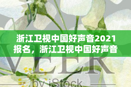 浙江卫视中国好声音2021报名,浙江卫视中国好声音报名全解析,梦想舞台的门槛与机遇 浙江卫视中国好声音2021报名,浙江卫视中国好声音报名全解析,梦想舞台的门槛与机遇