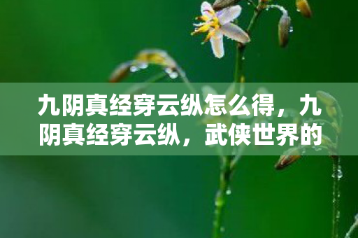 九阴真经穿云纵怎么得,九阴真经穿云纵,武侠世界的云端之旅 九阴真经穿云纵怎么得,九阴真经穿云纵,武侠世界的云端之旅