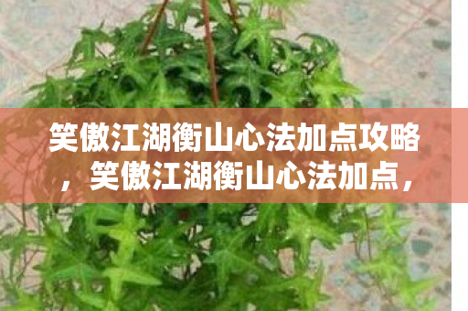 笑傲江湖衡山心法加点攻略,笑傲江湖衡山心法加点,打造最强衡山派的秘法 笑傲江湖衡山心法加点攻略,笑傲江湖衡山心法加点,打造最强衡山派的秘法