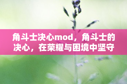 角斗士决心mod,角斗士的决心,在荣耀与困境中坚守 角斗士决心mod,角斗士的决心,在荣耀与困境中坚守