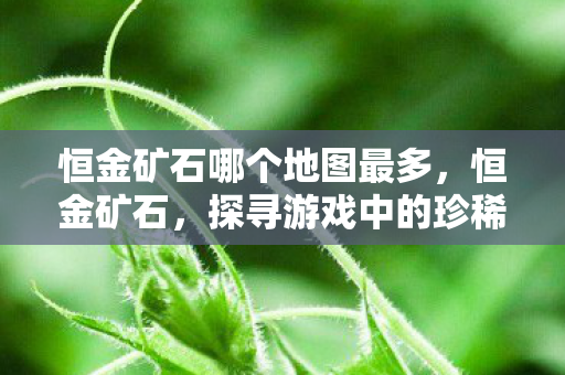 恒金矿石哪个地图最多，恒金矿石，探寻游戏中的珍稀宝藏