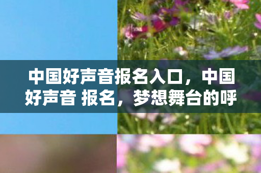 中国好声音报名入口,中国好声音 报名,梦想舞台的呼唤 中国好声音报名入口,中国好声音 报名,梦想舞台的呼唤
