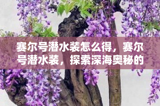 赛尔号潜水装怎么得，赛尔号潜水装，探索深海奥秘的必备神器