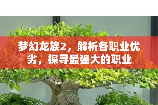 梦幻龙族2,解析各职业优劣,探寻最强大的职业 梦幻龙族2,解析各职业优劣,探寻最强大的职业