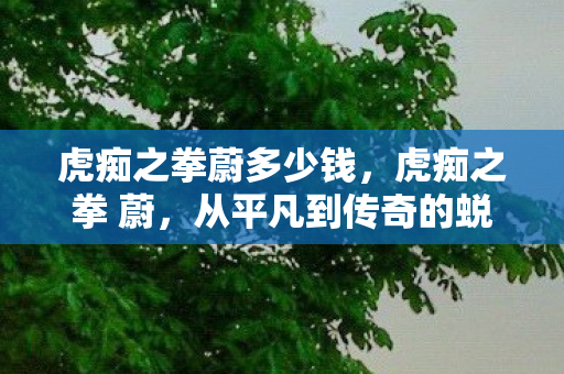 虎痴之拳蔚多少钱,虎痴之拳 蔚,从平凡到传奇的蜕变之路 虎痴之拳蔚多少钱,虎痴之拳 蔚,从平凡到传奇的蜕变之路
