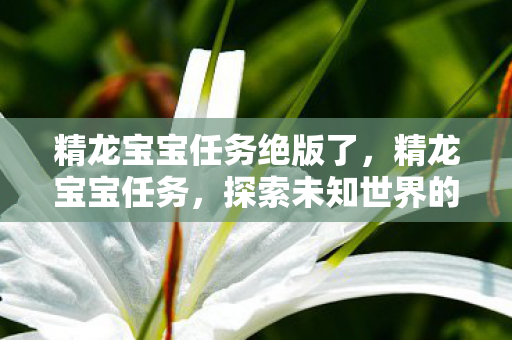 精龙宝宝任务绝版了,精龙宝宝任务,探索未知世界的奇妙冒险 精龙宝宝任务绝版了,精龙宝宝任务,探索未知世界的奇妙冒险