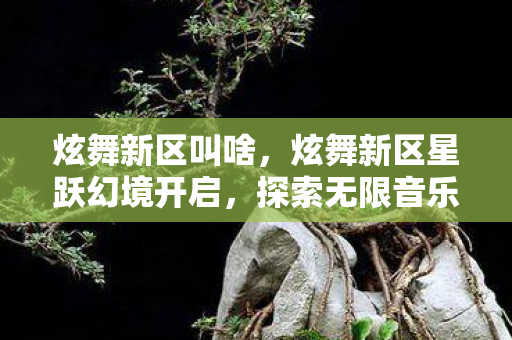 炫舞新区叫啥,炫舞新区星跃幻境开启,探索无限音乐舞蹈之旅 炫舞新区叫啥,炫舞新区星跃幻境开启,探索无限音乐舞蹈之旅