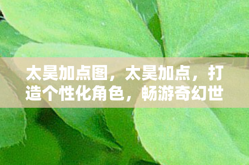 太昊加点图,太昊加点,打造个性化角色,畅游奇幻世界 太昊加点图,太昊加点,打造个性化角色,畅游奇幻世界