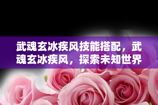 武魂玄冰疾风技能搭配,武魂玄冰疾风,探索未知世界的奇幻之旅 武魂玄冰疾风技能搭配,武魂玄冰疾风,探索未知世界的奇幻之旅