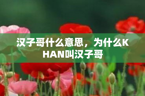 汉子哥什么意思,为什么KHAN叫汉子哥 汉子哥什么意思,为什么KHAN叫汉子哥